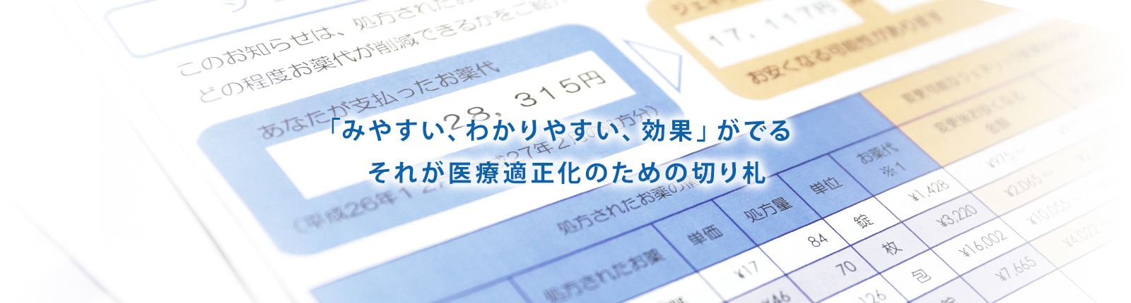 みやすい、わかりやすい、効果」がでるそれが医療適正化のための切り札