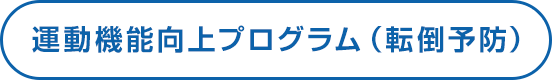 運動機能向上プログラム（転倒予防）